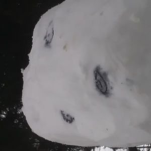 Meet your Posher, Holy shiz i